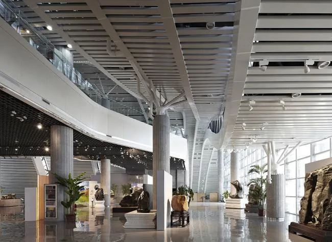BIM建筑|柳州奇石展览馆丨天津年夜学建筑计划设计研讨总院，张华传授工作室