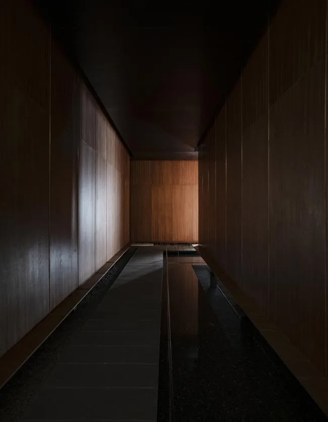 BIM建筑|湿地旁的禅修馆 / 丘建筑设计事务所