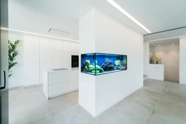 BIM建筑|年夜简至繁，横条纹也能小清爽的西班牙水族馆室第