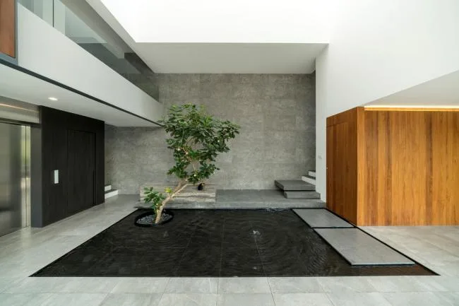 BIM建筑|Clifton 山谷别墅 / FreightArchitects