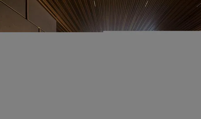 BIM建筑|厦门佳逸希尔顿格芮精选酒店 | 汤桦建筑设计
