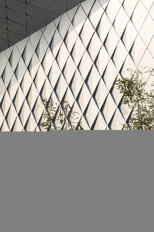 BIM建筑|山崖之巅,格构空间-重庆御临府艺术中间 / 成执设计