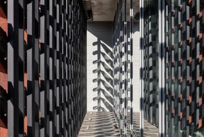BIM建筑|光影斑驳，影随风动：韩国木材博物馆