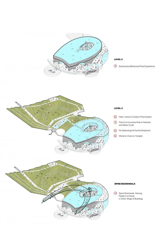 BIM建筑|Ennead 赢长江口中华鲟天然维护区国际比赛