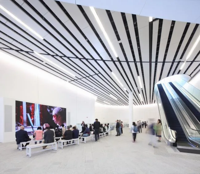 BIM建筑|喷鼻港戏曲中间 / Revery Architecture