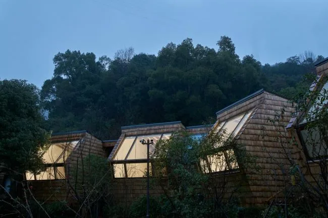BIM建筑|杨梅树下的瞻仰——星立方 / 中国美术学院景致建筑设计研讨总院