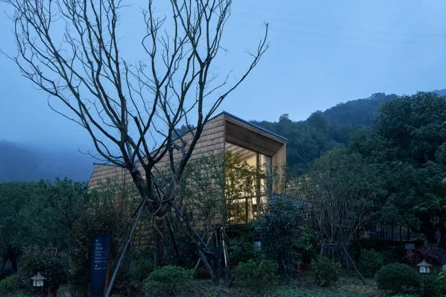 BIM建筑|杨梅树下的瞻仰——星立方 / 中国美术学院景致建筑设计研讨总院