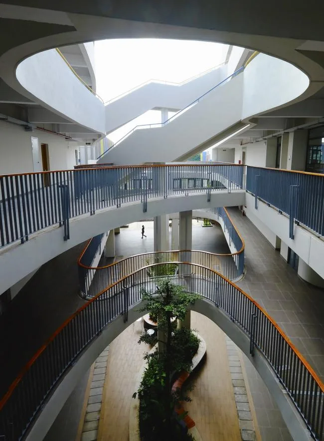 BIM建筑|动态绿色的梦幻校园：生态折线黉舍 / 1+1>2 Architects