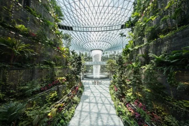 BIM建筑|萨夫迪“新加坡樟宜机场”建成，世界最高的室内瀑布正式对外开放