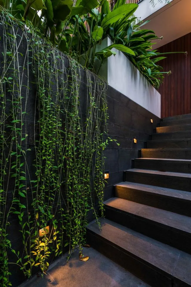 BIM建筑|风吹池水，阵阵清冷：雅加达热带私家室第