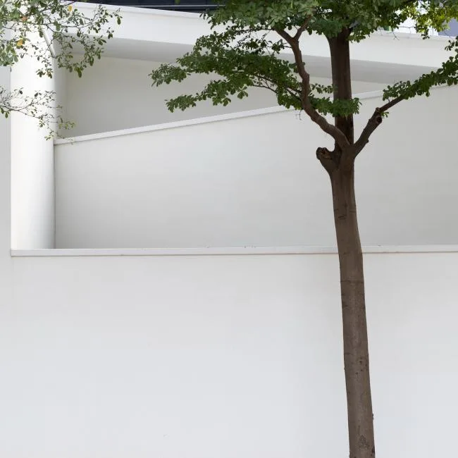 BIM建筑|简约而有格调的生涯美学馆 / 墨照建筑设计事务所