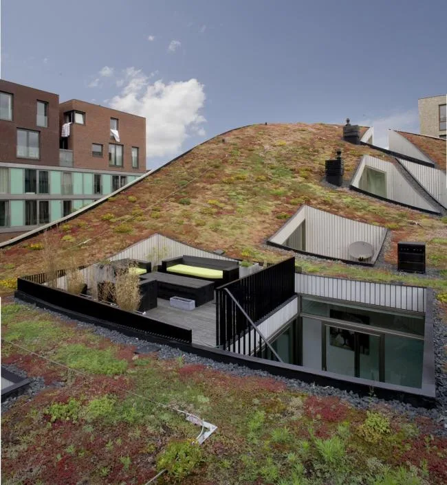 BIM建筑|如同随风舞动的旗号：荷兰Hidden Delights公寓 / NL Architects
