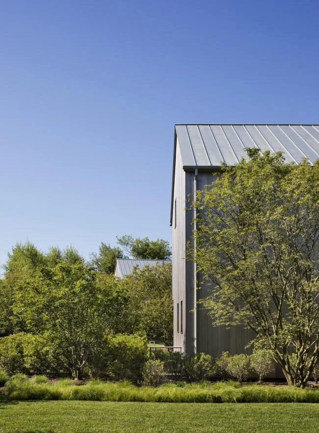 BIM建筑|东湖之家，定格湖景的纯白之家 / Robert Young Architects