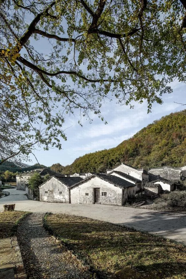 BIM建筑|奇峰村史馆 / SUP素朴建筑工作室