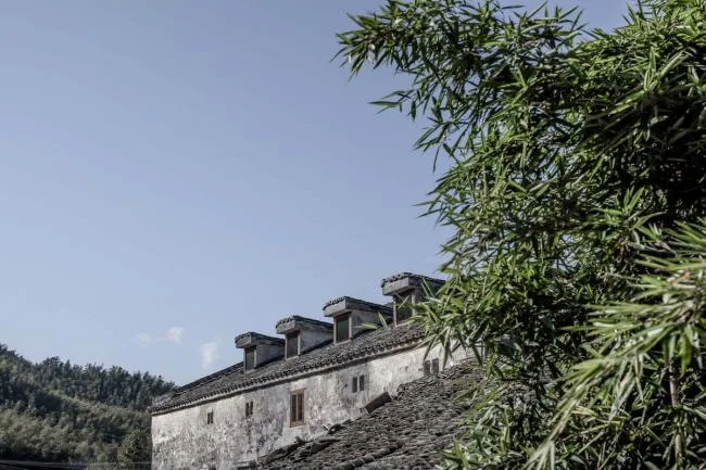 BIM建筑|奇峰村史馆 / SUP素朴建筑工作室