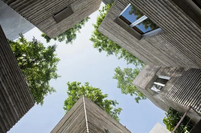 BIM建筑|仿佛暖和朴素的老旧记忆：树家 / 武重义建筑事务所