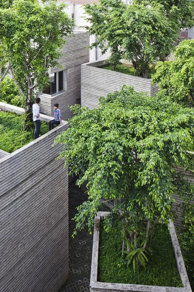 BIM建筑|仿佛暖和朴素的老旧记忆：树家 / 武重义建筑事务所