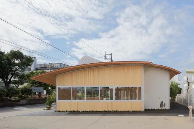 BIM建筑|富士山下，曲线的温顺与魅力：Toranoko 托儿所 / Takashige Yama***a Office
