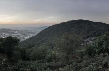 BIM建筑|茂林清泉，焚喷鼻喝茶：茶言不雅舍 / 是合设计工作室-BIM建筑网