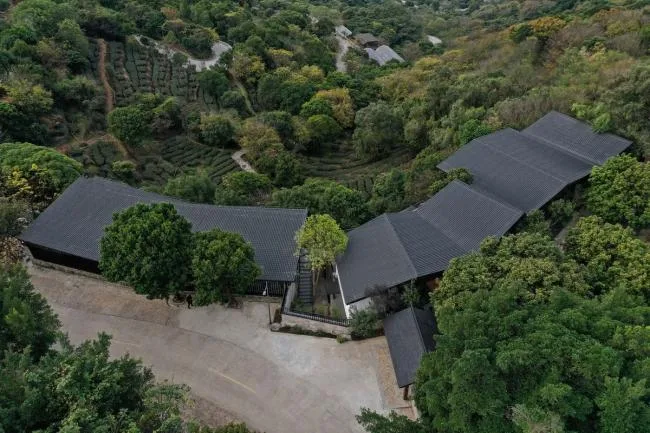 BIM建筑|茂林清泉，焚喷鼻喝茶：茶言不雅舍 / 是合设计工作室