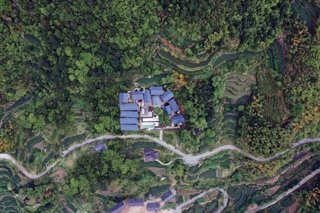 BIM建筑|人工化的天然-松阳原舍 · 揽树山房 / gad · line+ studio