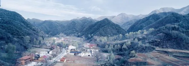 BIM建筑|蓝田县九间房镇油坊坪村景不雅设计 / 中国建筑西北设计研讨院·建筑装潢与情况艺术工程设计研讨院