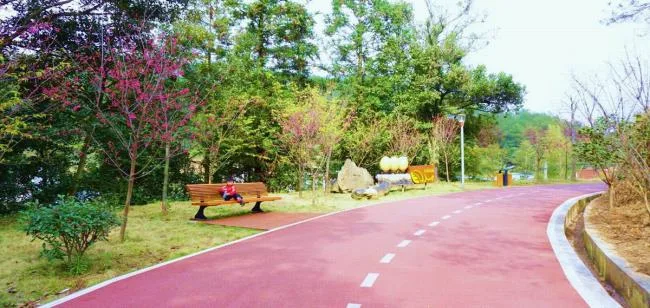 BIM建筑|陌上花开的乡土景不雅——福建年夜田绿道计划设计 / 上海选泉设计