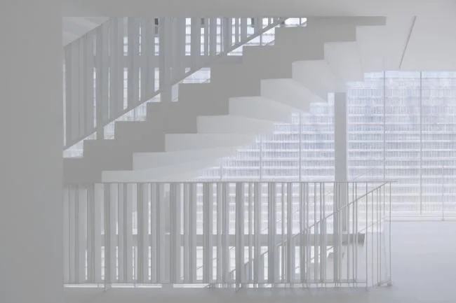 BIM建筑|如鱼群跃出海面，日光下闪闪发光的鱼鳞：清迈微型酒店