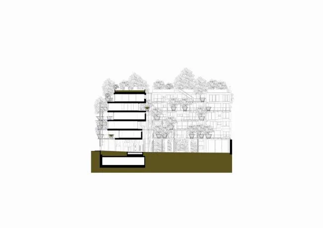 BIM建筑|仿佛穿越进魔法世界——葱茏的丛林“魔法”屋