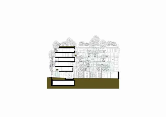 BIM建筑|仿佛穿越进魔法世界——葱茏的丛林“魔法”屋
