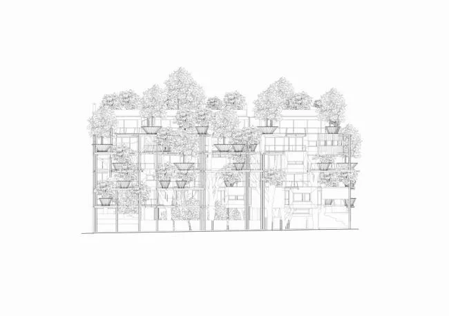BIM建筑|仿佛穿越进魔法世界——葱茏的丛林“魔法”屋