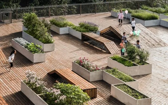 BIM建筑|城市之中的一抹抹绿意：莳植平台和体验馆 / 墨照建筑设计事务所