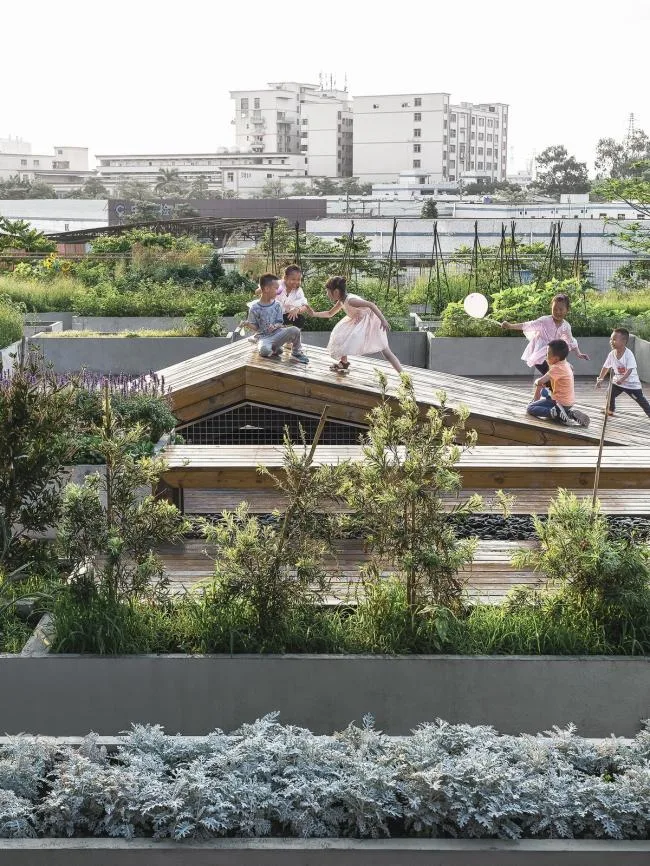 BIM建筑|城市之中的一抹抹绿意：莳植平台和体验馆 / 墨照建筑设计事务所