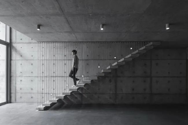 BIM建筑|城市之中的一抹抹绿意：莳植平台和体验馆 / 墨照建筑设计事务所