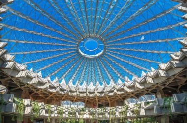 BIM建筑|摄影作品：“荆棘之冠”-BIM建筑网