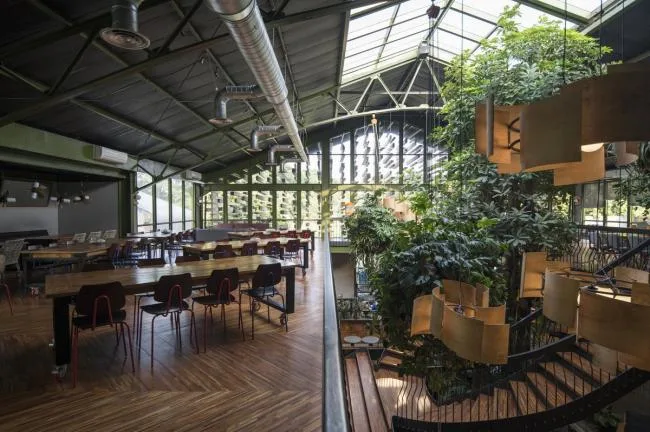 BIM建筑|条条木椽，仿佛从暗黑中涌来：植进天然的漂浮餐厅