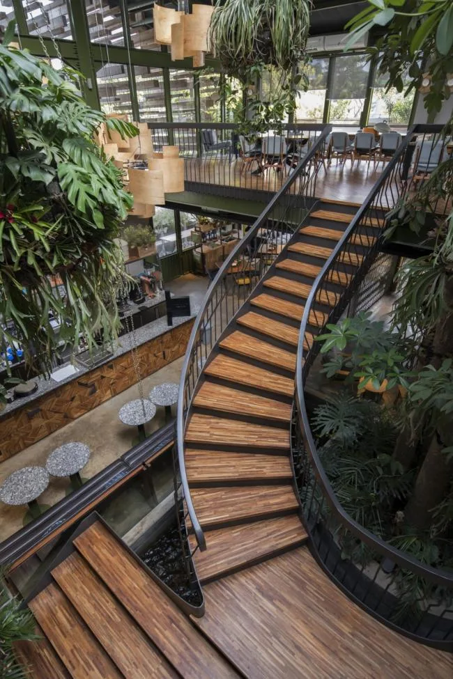 BIM建筑|条条木椽，仿佛从暗黑中涌来：植进天然的漂浮餐厅