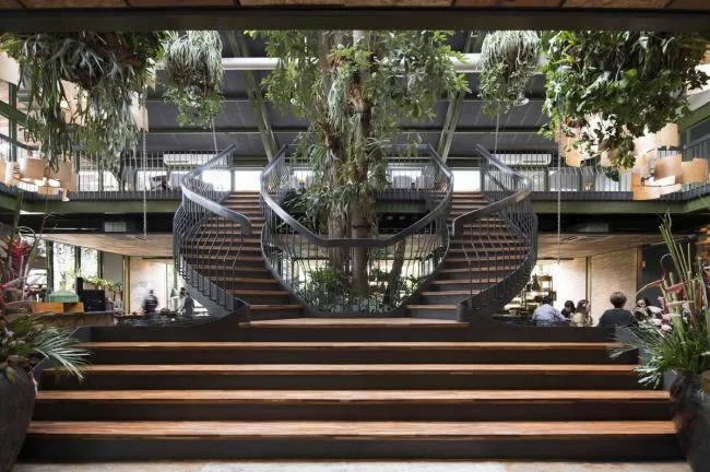 BIM建筑|条条木椽，仿佛从暗黑中涌来：植进天然的漂浮餐厅