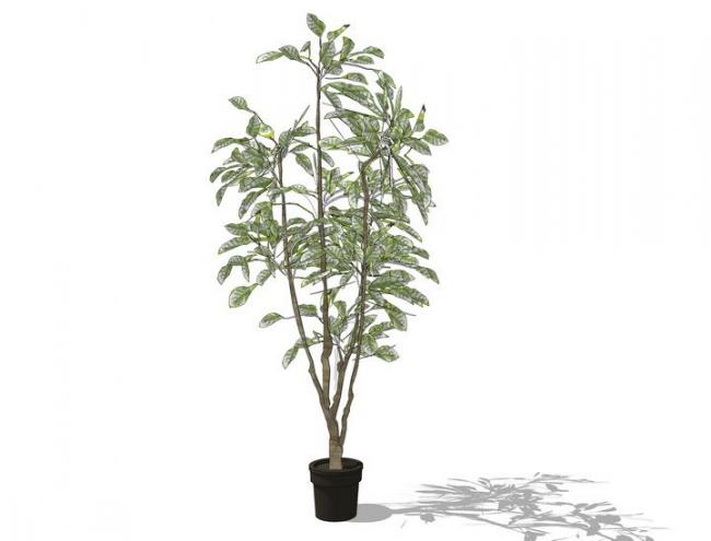 Sketchup素材模型|户外盆栽，室外盆栽，植物