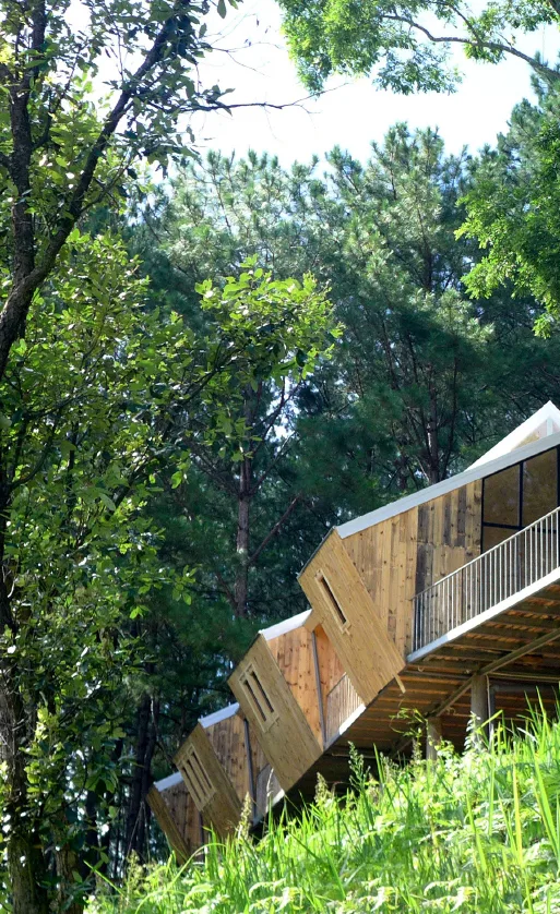 BIM建筑|阔别喧哗，隐于茂林山谷的寄宿行政办公室