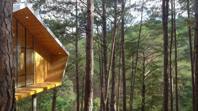 BIM建筑|阔别喧哗，隐于茂林山谷的寄宿行政办公室