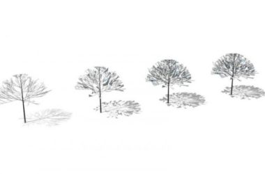 Sketchup素材模型|2D水彩树，植物树，景观树，手绘树，景观素材组件-BIM建筑网