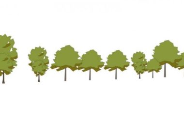 Sketchup素材模型|2D水彩树，植物树，景观树，手绘树，景观素材组件-BIM建筑网