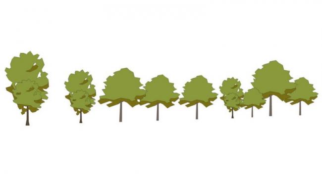 Sketchup素材模型|2D水彩树，植物树，景观树，手绘树，景观素材组件