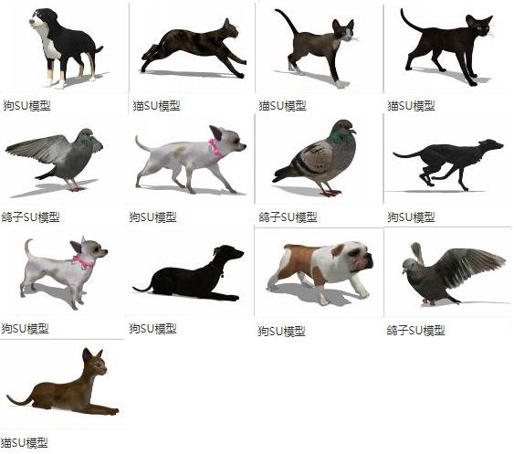 Sketchup素材模型|动物，猫狗，鸽子，模型素材组件