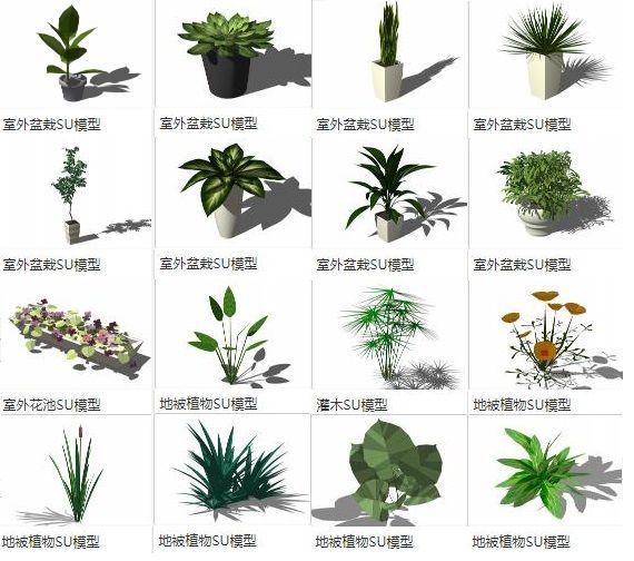 Sketchup素材模型|室外盆栽盆景花池，地被植物灌木，景观素材组件