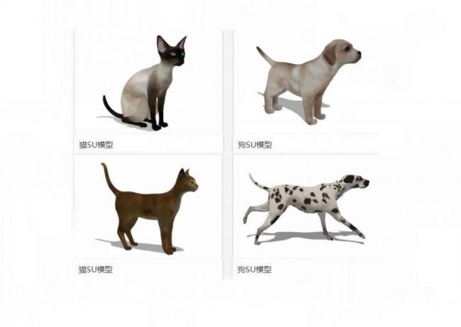 Sketchup素材模型|猫狗，动物，素材组件模型