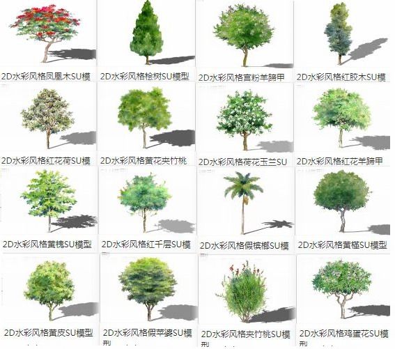 Sketchup素材模型|2D植物树，水彩风格树，大树，景观素材组件