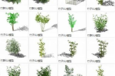 Sketchup素材模型|竹子竹叶竹枝竹群，植物景观素材组件-BIM建筑网