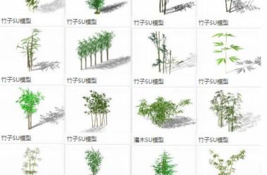 Sketchup素材模型|竹子竹叶竹枝竹群，植物景观素材组件-BIM建筑网